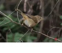 包含暮頣KQS	)?嗁!鹬醶>WR覹"~3輱禍U79@僔犓](1\'G-南宫在线网站